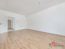 Prodej bytu 1+kk, Plzeň - Jižní Předměstí, Železná, 37 m2