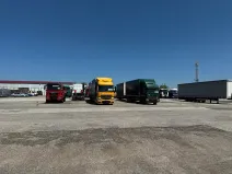 Pronájem komerčního pozemku, Holubice, 700 m2