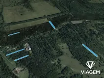 Prodej lesa, Kněždub, 3980 m2