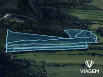 Prodej podílu lesa, Kuřimská Nová Ves, 25162 m2