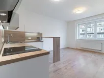 Pronájem bytu 1+kk, Praha - Košíře, Vrchlického, 31 m2