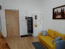 Prodej bytu 1+kk, Praha - Nové Město, Sokolská, 23 m2