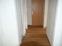 Prodej bytu 2+1, Břidličná, Osvobození, 56 m2