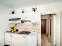 Pronájem bytu 1+kk, Praha, Štúrova, 20 m2