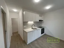 Pronájem bytu 2+1, Litvínov, Ruská, 53 m2