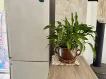 Pronájem rodinného domu, Březová nad Svitavou, Dlouhá, 70 m2