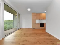 Pronájem bytu 2+kk, Praha - Radlice, U Komína, 47 m2
