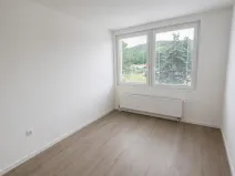 Pronájem bytu 2+kk, Most, Františka Halase, 42 m2
