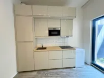 Pronájem bytu 1+kk, Praha - Smíchov, Pod Barvířkou, 48 m2