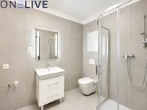 Pronájem bytu 1+kk, Zbůch, 29 m2