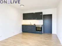 Pronájem bytu 1+kk, Zbůch, 32 m2