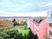 Pronájem bytu 1+kk, Brno, Provazníkova, 27 m2