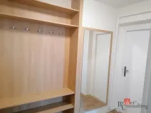 Pronájem bytu 1+1, Ostrava - Přívoz, Newtonova, 42 m2