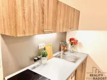 Pronájem bytu 1+kk, Olomouc - Hodolany, Březinova, 46 m2