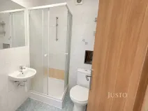Pronájem bytu 1+1, Písek - Budějovické Předměstí, Budějovická, 50 m2
