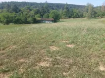 Prodej zahrady, Stražisko, 3140 m2