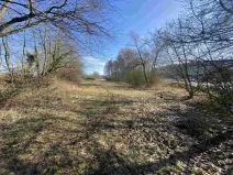 Dražba louky, Kváskovice, 10470 m2