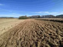 Dražba louky, Kváskovice, 10470 m2