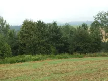 Dražba louky, Radkov, 1834 m2