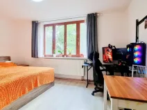 Prodej bytu 1+kk, Brno, Gallašova, 28 m2