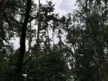 Prodej podílu pozemku, Kojice, 604 m2