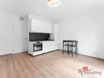 Pronájem bytu 1+kk, Tuchoměřice, V Kněžívce, 22 m2