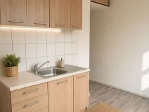 Prodej bytu 2+1, Svatoňovice, 47 m2