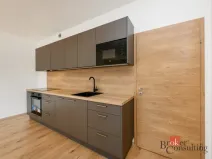 Pronájem bytu 2+kk, Plzeň - Jižní Předměstí, Železná, 56 m2