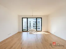 Pronájem bytu 2+kk, Plzeň - Jižní Předměstí, Železná, 56 m2