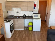Pronájem bytu 1+kk, Horní Slavkov, Dlouhá, 20 m2