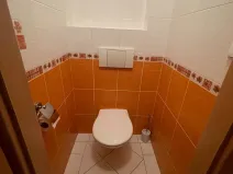 Pronájem bytu 2+1, Opava, Krnovská, 81 m2