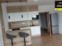Pronájem bytu 1+kk, Opava, Císařského pluku, 41 m2