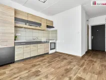 Prodej bytu 1+1, Ostrov, Družební, 41 m2