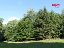 Prodej lesa, Chyňava - Lhotka u Berouna, 7138 m2