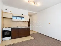 Prodej bytu 1+kk, Tábor, Petrohradská, 19 m2