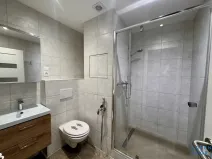 Prodej bytu 1+1, Nové Sedlo, 38 m2