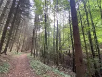 Prodej louky, Strážná, 2049 m2