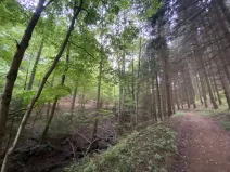 Prodej louky, Strážná, 2049 m2