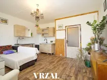 Pronájem bytu 1+kk, Plzeň, Ledecká, 39 m2