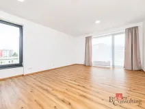 Pronájem bytu 1+kk, Plzeň - Jižní Předměstí, Železná, 47 m2
