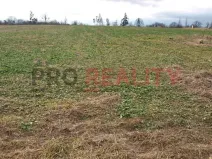 Prodej pozemku pro bydlení, Velké Albrechtice, 1041 m2