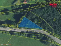 Prodej lesa, Kosov, 467 m2