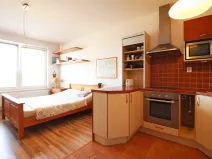 Pronájem bytu 1+kk, Olomouc - Nová Ulice, Okružní, 38 m2