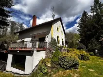 Prodej rodinného domu, Hořepník, 1200 m2