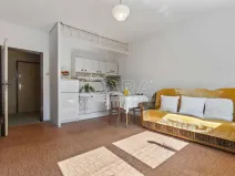 Prodej bytu 1+1, Rumburk - Rumburk 1, V Podhájí, 49 m2
