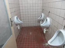Pronájem skladu, Rajhrad, Stará pošta, 255 m2
