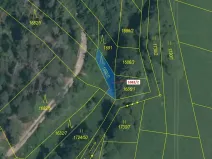 Dražba lesa, Trhový Štěpánov, 89 m2