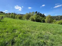 Prodej pozemku, Blansko - Klepačov, 10598 m2