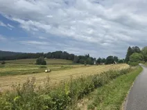Prodej pozemku, Nová Pec, 11427 m2