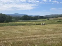 Prodej pozemku, Nová Pec, 11427 m2